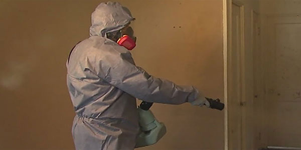 Best Budget Total Cleaning Portsea Rosebud Dromana Mornington Frankston