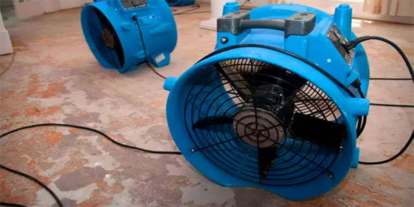 Best Emergency Water Damage Restoration Portsea Rosebud Dromana Mornington Frankston