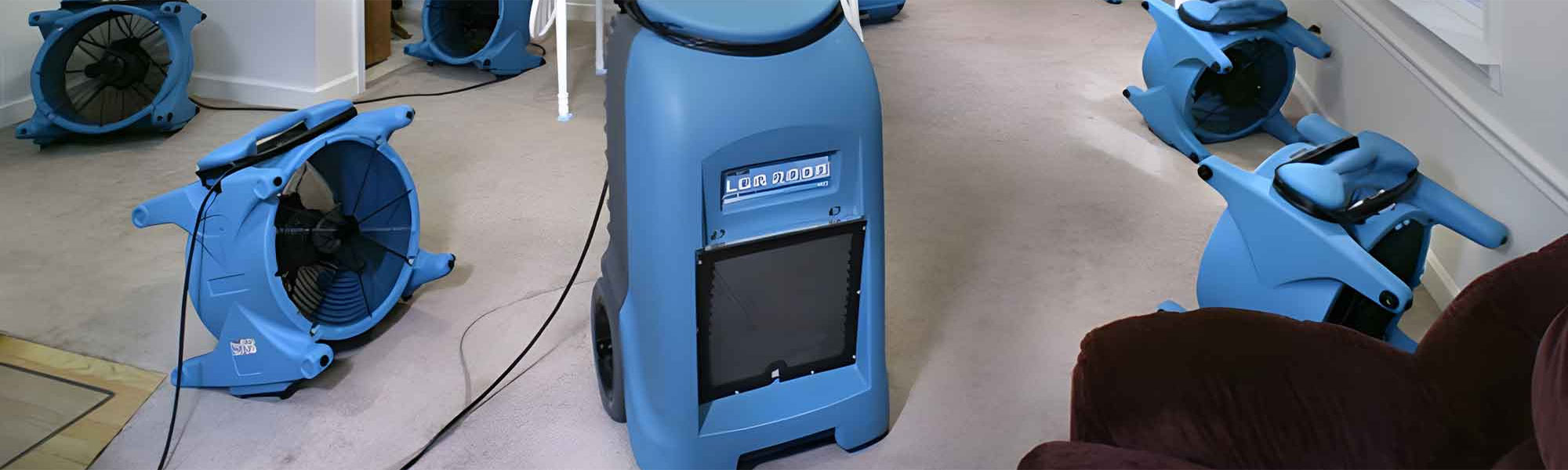 Budget Total Cleaning Portsea Rosebud Dromana Mornington Frankston