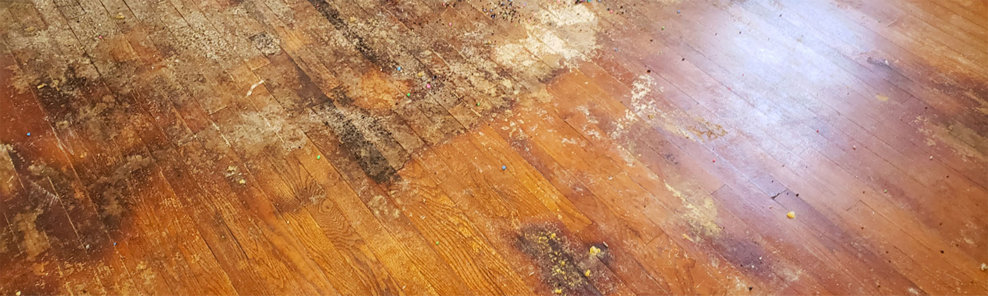 Budget Total Cleaning Portsea Rosebud Dromana Mornington Frankston