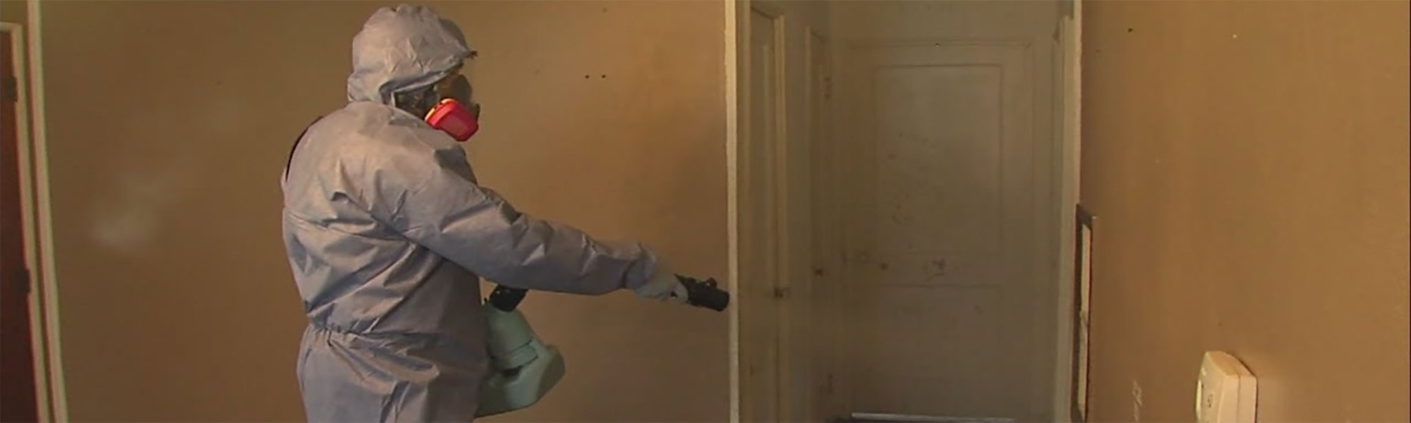 Budget Total Cleaning Portsea Rosebud Dromana Mornington Frankston