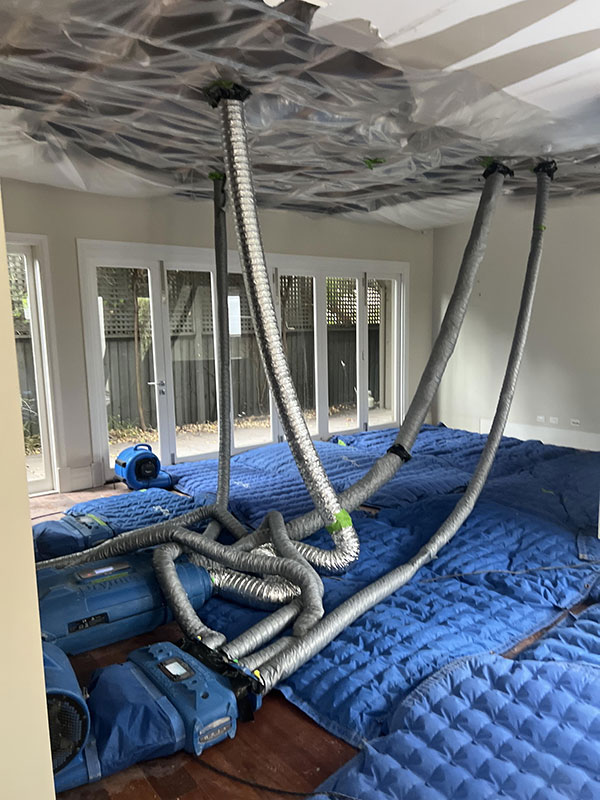 Timber Floor Water Damage Drying Portsea Rosebud Dromana Mornington Frankston