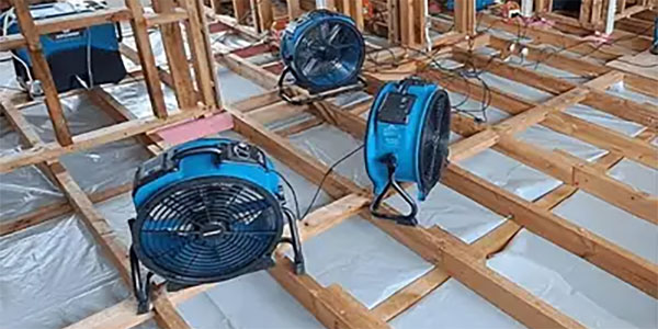 Best Emergency Water Damage Restoration Portsea Rosebud Dromana Mornington Frankston